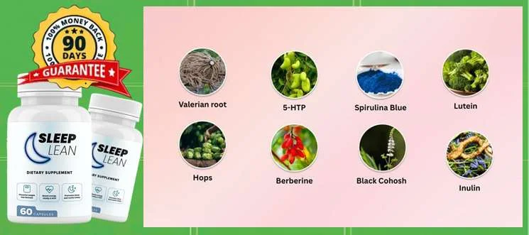 quietum-plus-ingredients